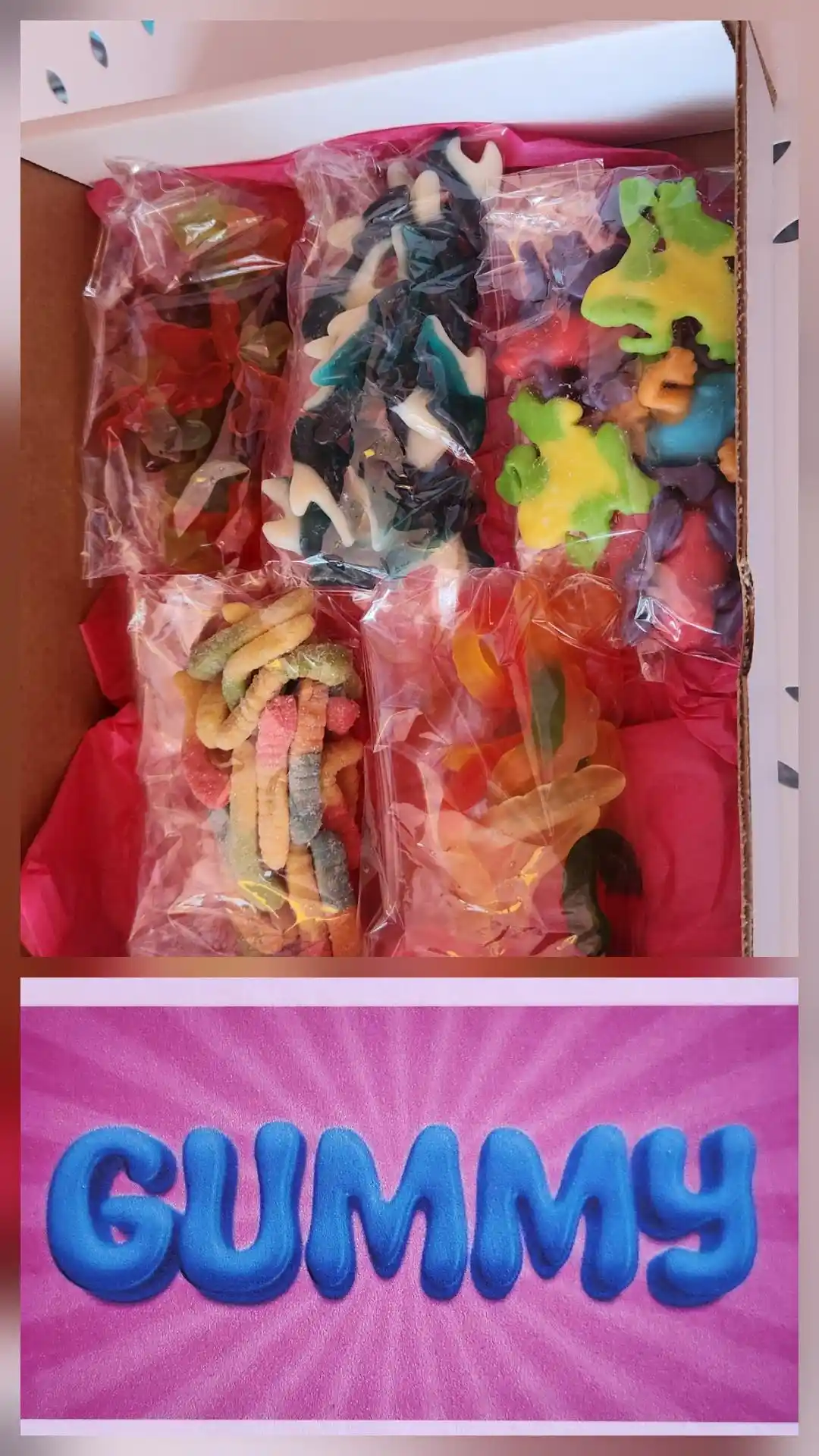 Gummy Creatures Box